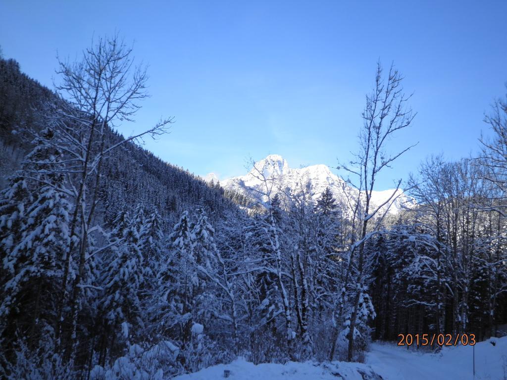 Almurlaub Buchebnerreith, Ferienwohnungen Hinterstoder Exterior foto